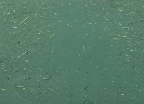 کاهگل نانو فیروزه ای